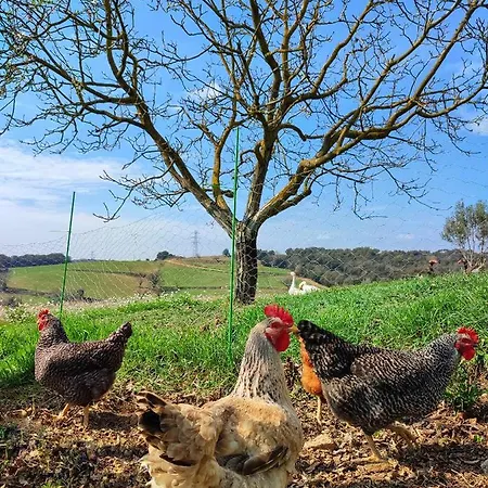 Séjour à la campagne Masia Felip Llinars del Valles