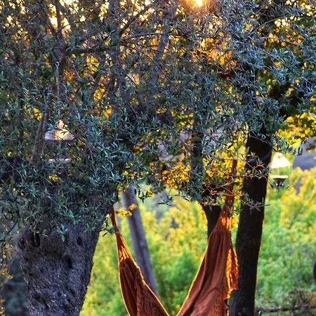Masia Felip * Llinars del Valles