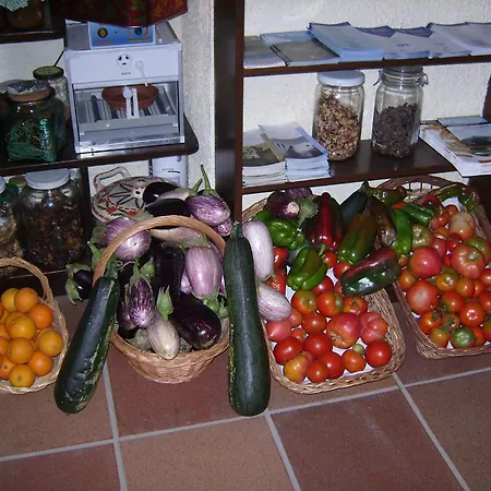 Country house Masia Can Felip *